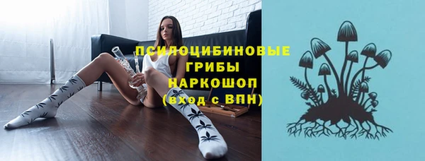 ГАЛЛЮЦИНОГЕННЫЕ ГРИБЫ Краснотурьинск