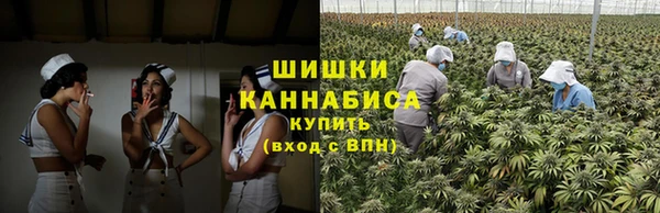 прущая мука Чегем
