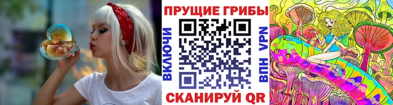 наркошоп  Мамадыш  Псилоцибиновые грибы GOLDEN TEACHER 