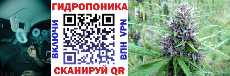 Канабис планчик купить наркотики сайты Мамадыш